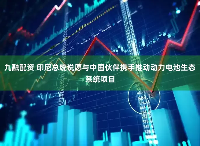九融配资 印尼总统说愿与中国伙伴携手推动动力电池生态系统项目