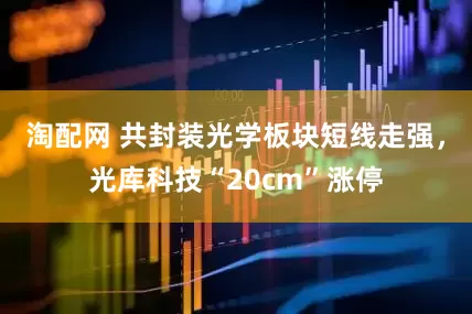 淘配网 共封装光学板块短线走强，光库科技“20cm”涨停