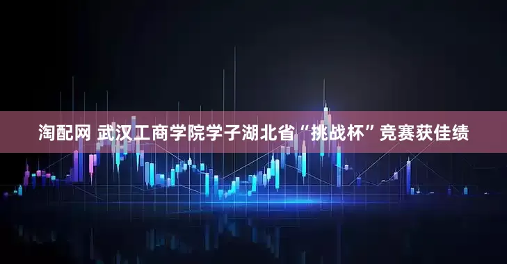 淘配网 武汉工商学院学子湖北省“挑战杯”竞赛获佳绩